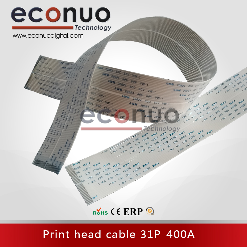 E3186-2--print-head-cable-31P-400A-